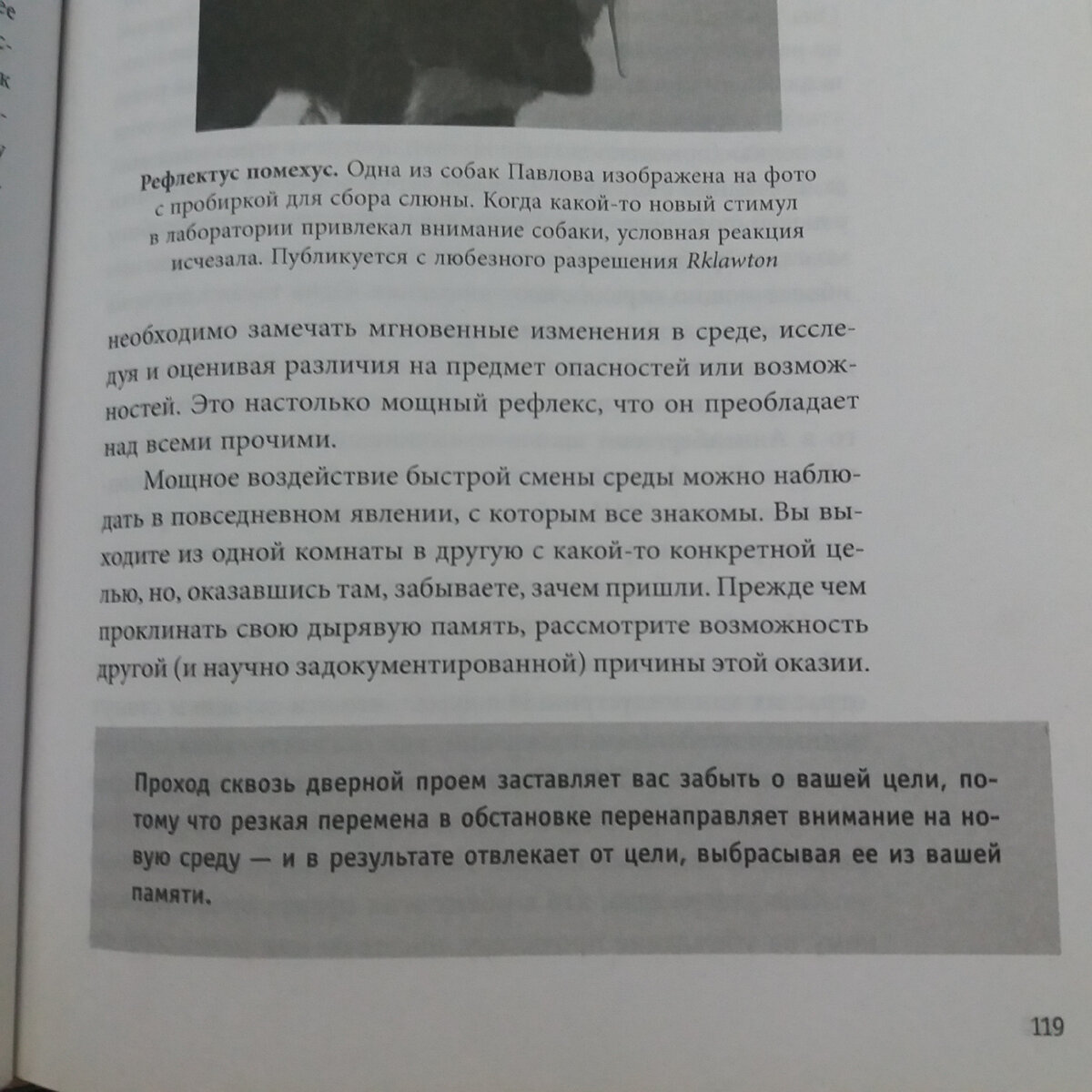 Страница, на которой автор приводит классический пример "забывания" при переходе из одной комнаты в другую