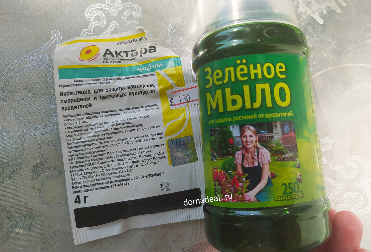 мои помощники 