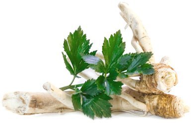 Хрен. Фото из открытых источников