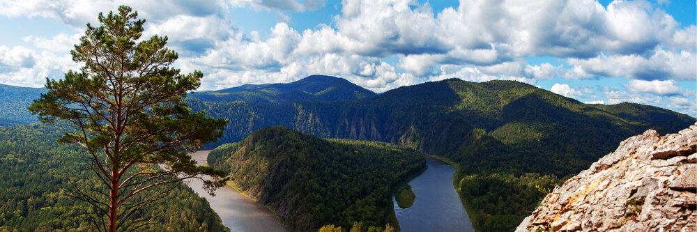 В июле на Мане традиционно проводится карнавал — если не боитесь шумных компаний, стоит запланировать тур именно на праздничные даты