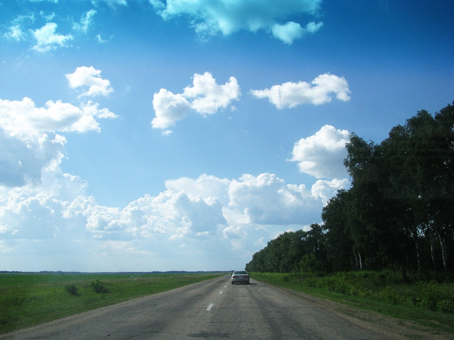 Дорога из Рубцовска в Егорьевку