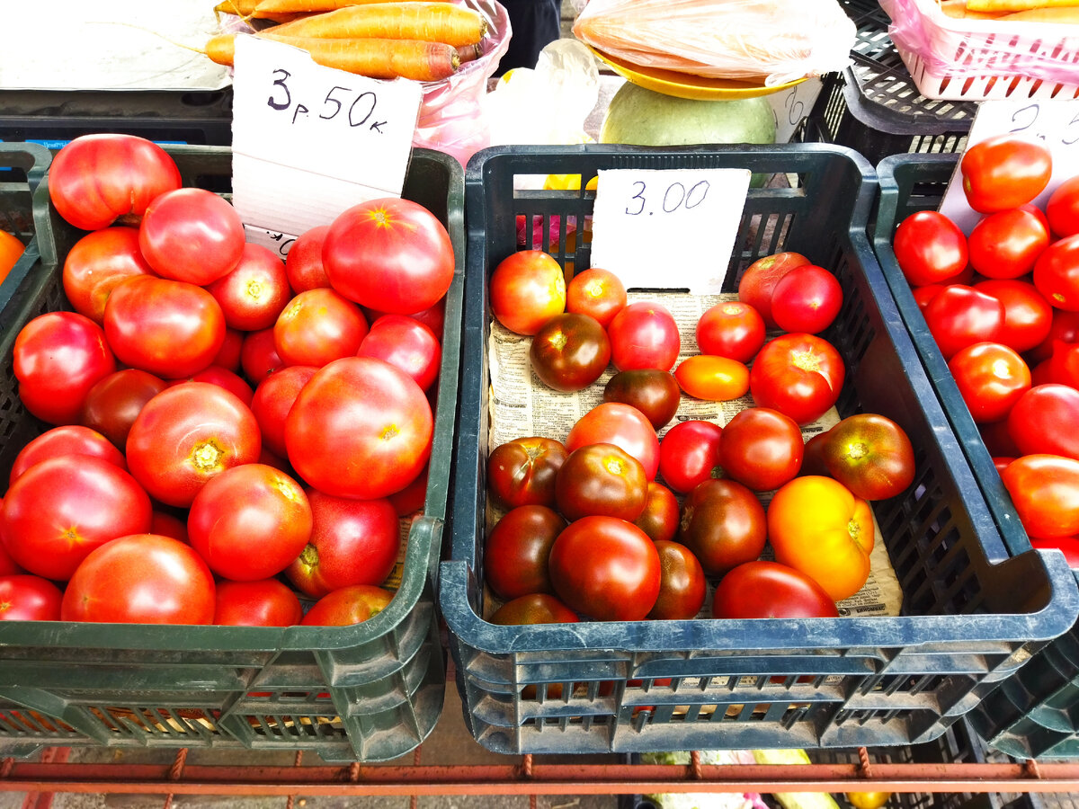 Белорусские помидоры