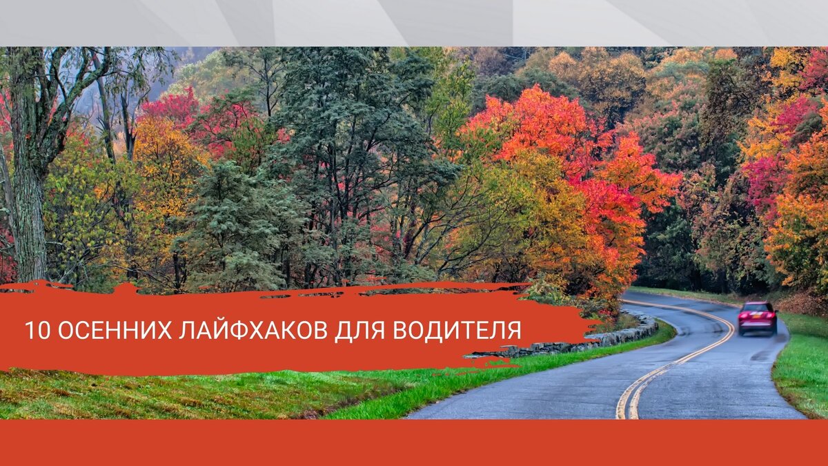 источник: https://ns.parts/ru