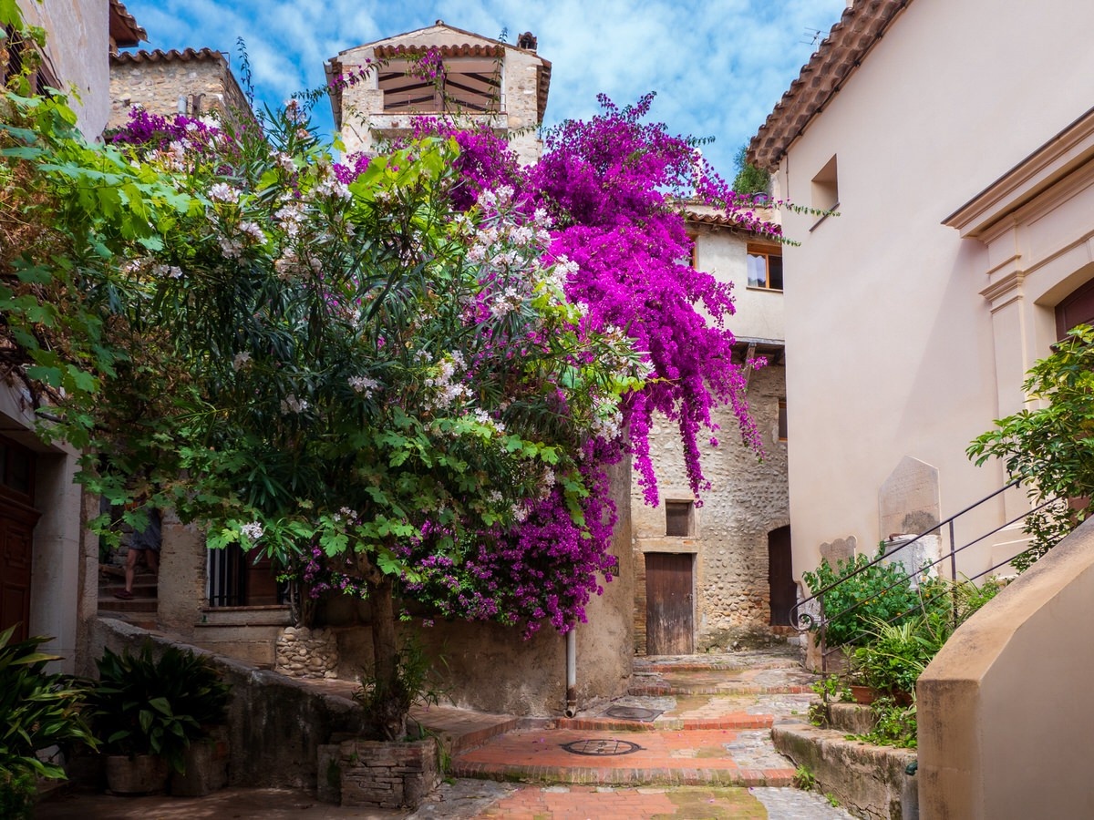 Верхний де Кань, ФранцияHaut de Cagnes, Франция