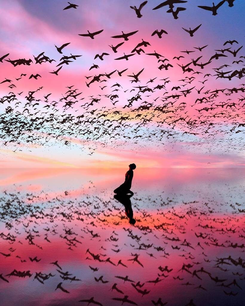 С просторов интернета