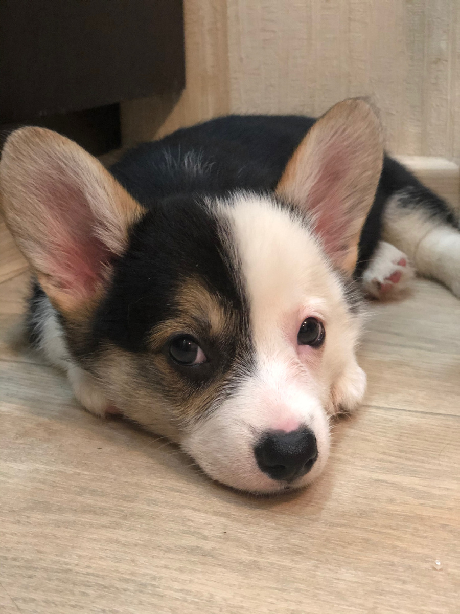 Первый вечер с нами 