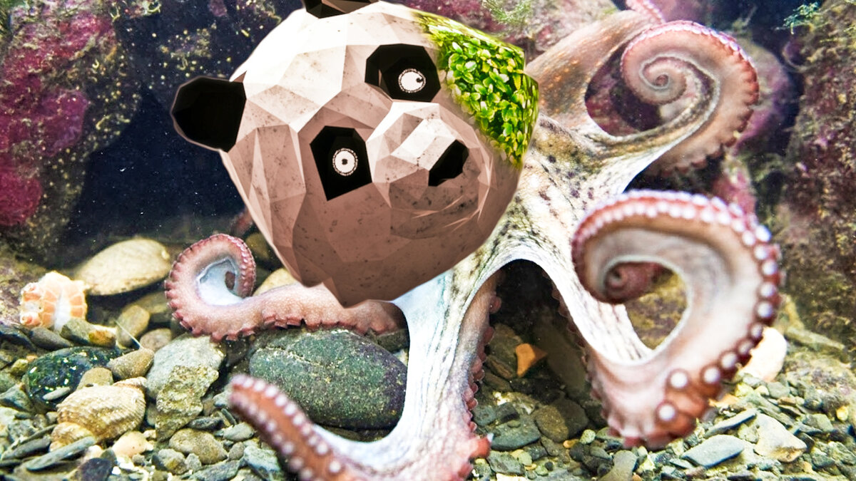 Когда решил в 3 часа ночи изменить свою жизнь: