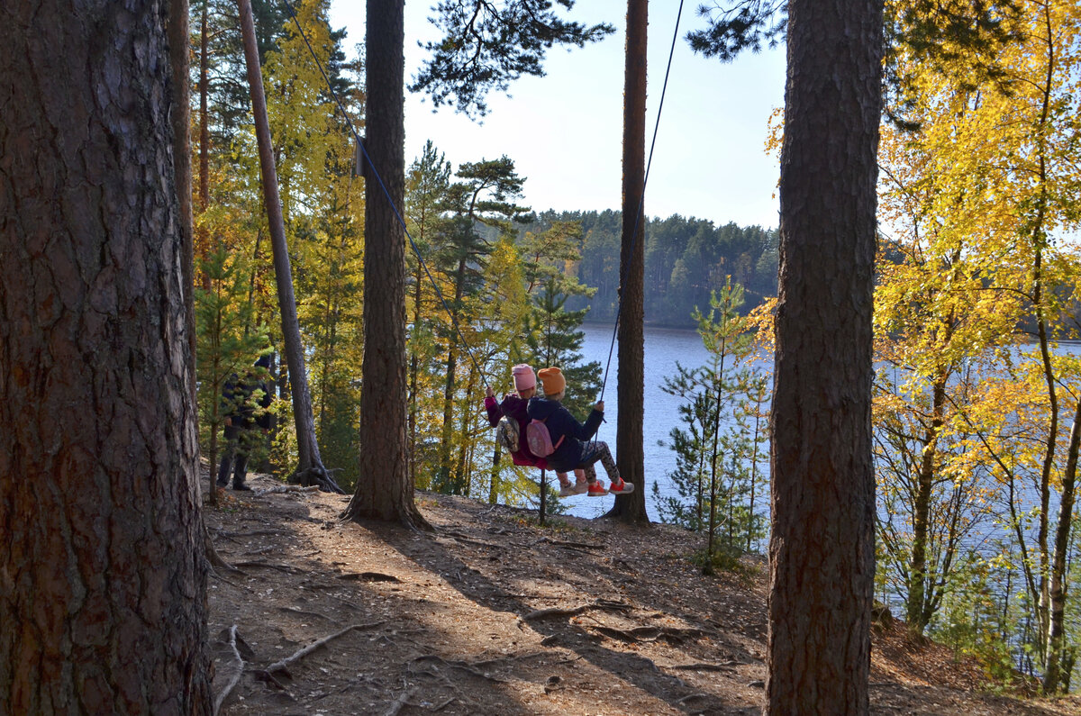 качели в экопарке "Вереск"