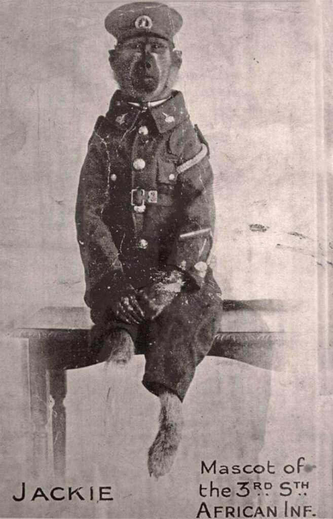 Сигнальщик Джек