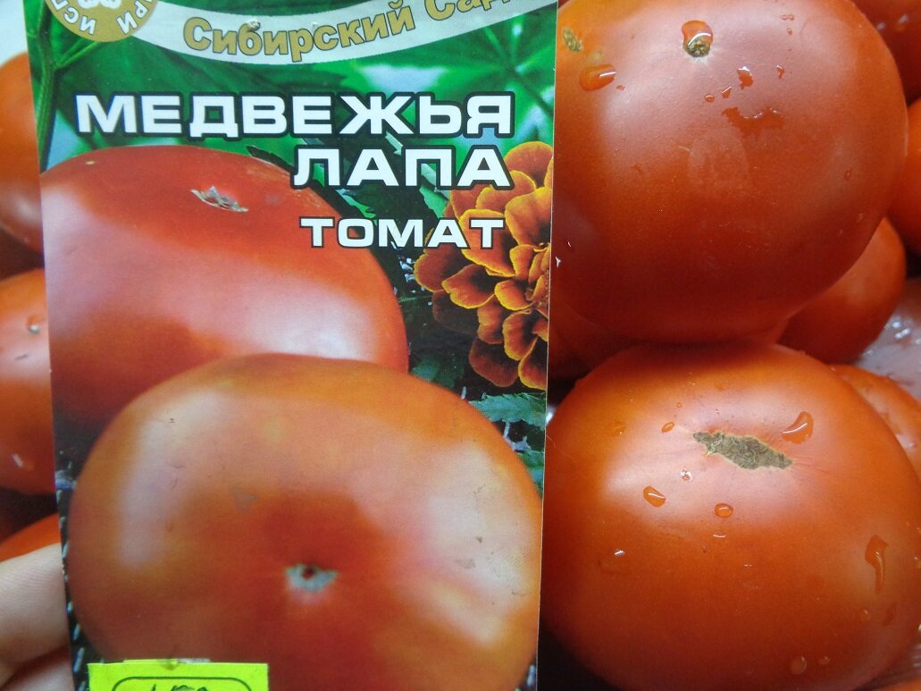 Томаты медвежья лапа описание сорта фото отзывы