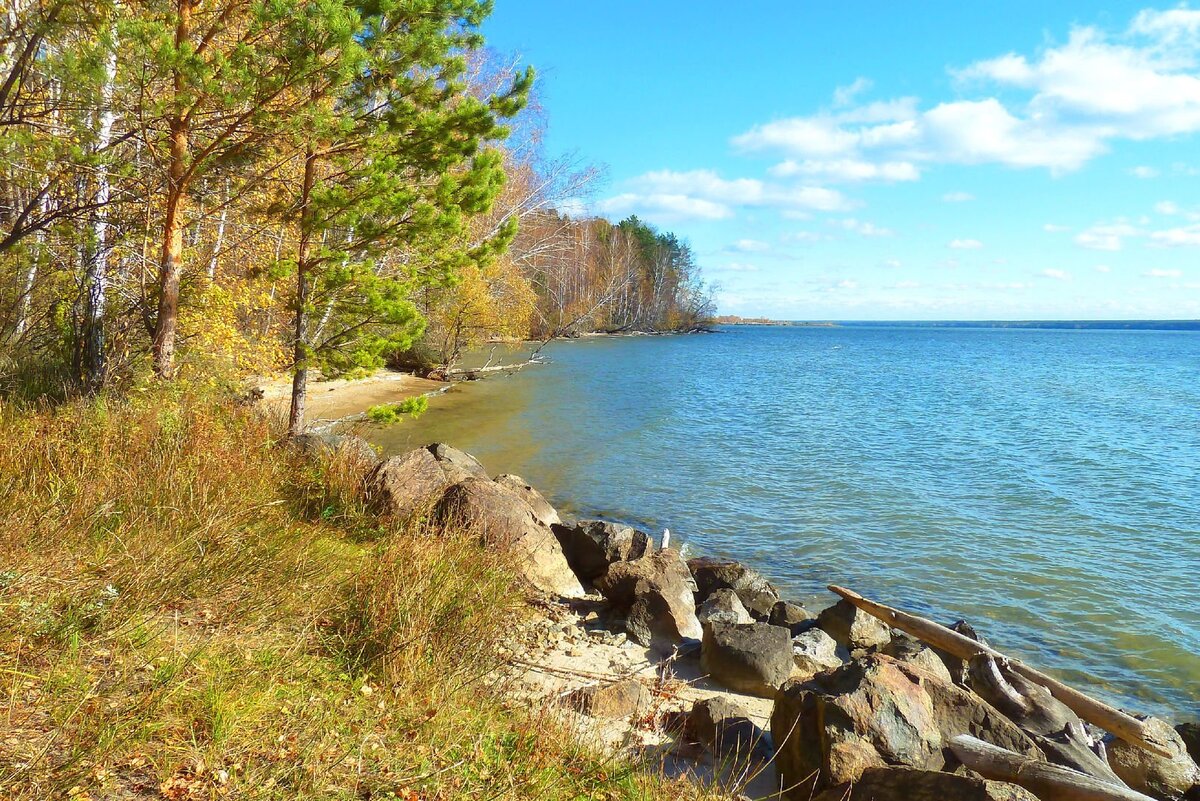 Пейзаж Обского моря. Источник: https://clck.ru/ZS8ZJ