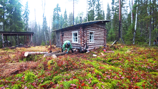 Карбюратор бензопилы тайга 214. Вырубка тайги. Бензопила тайга 214. Сибирская хвойная тайга. Муфта сцепления для бензопилы тайга 245.