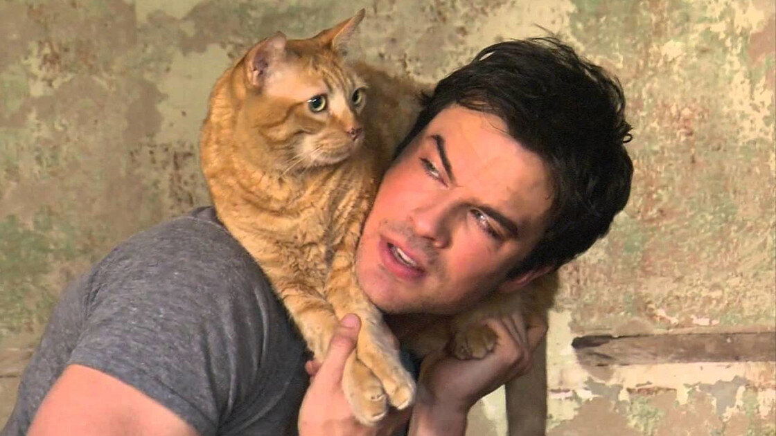 Фото взято из открытых источников