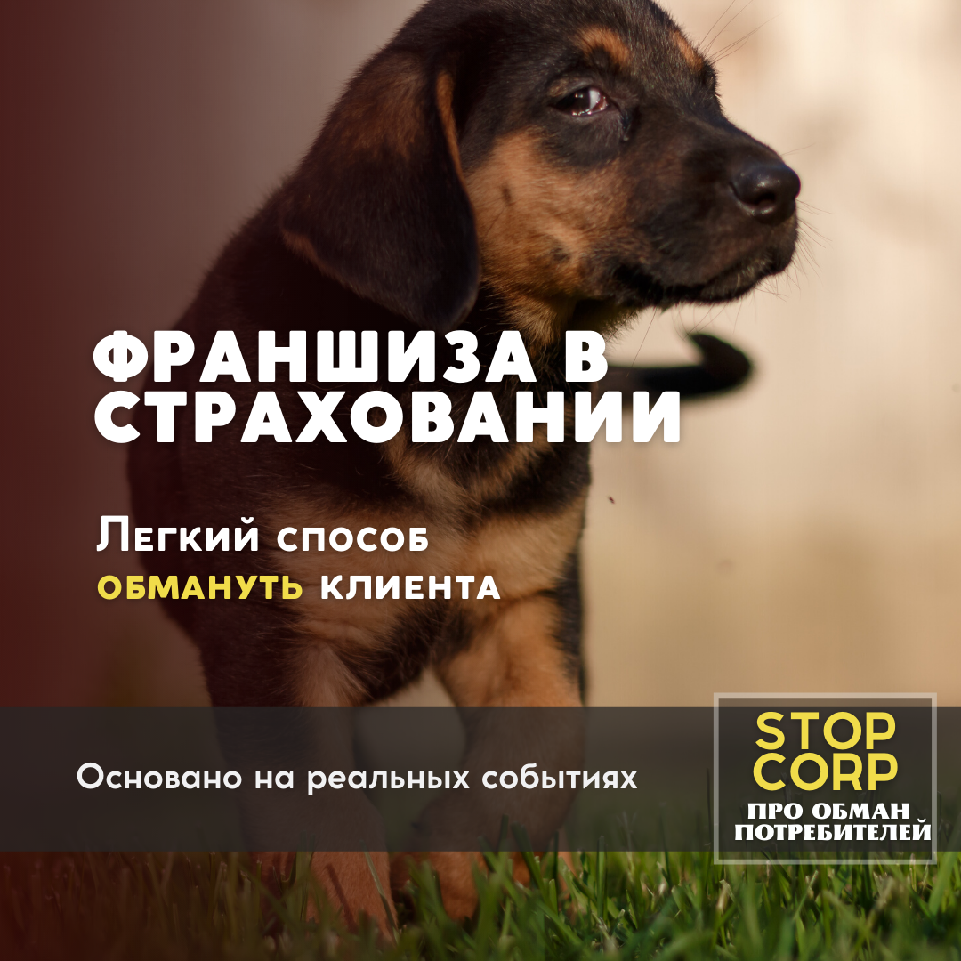 Ни одно животное не пострадало