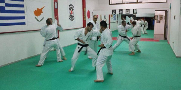 Коэй-кан карате на Кипре. Фото с сайта https://activeplanet.com/sportivnyie-obektyi/cyprus-koei-kan-karate.html