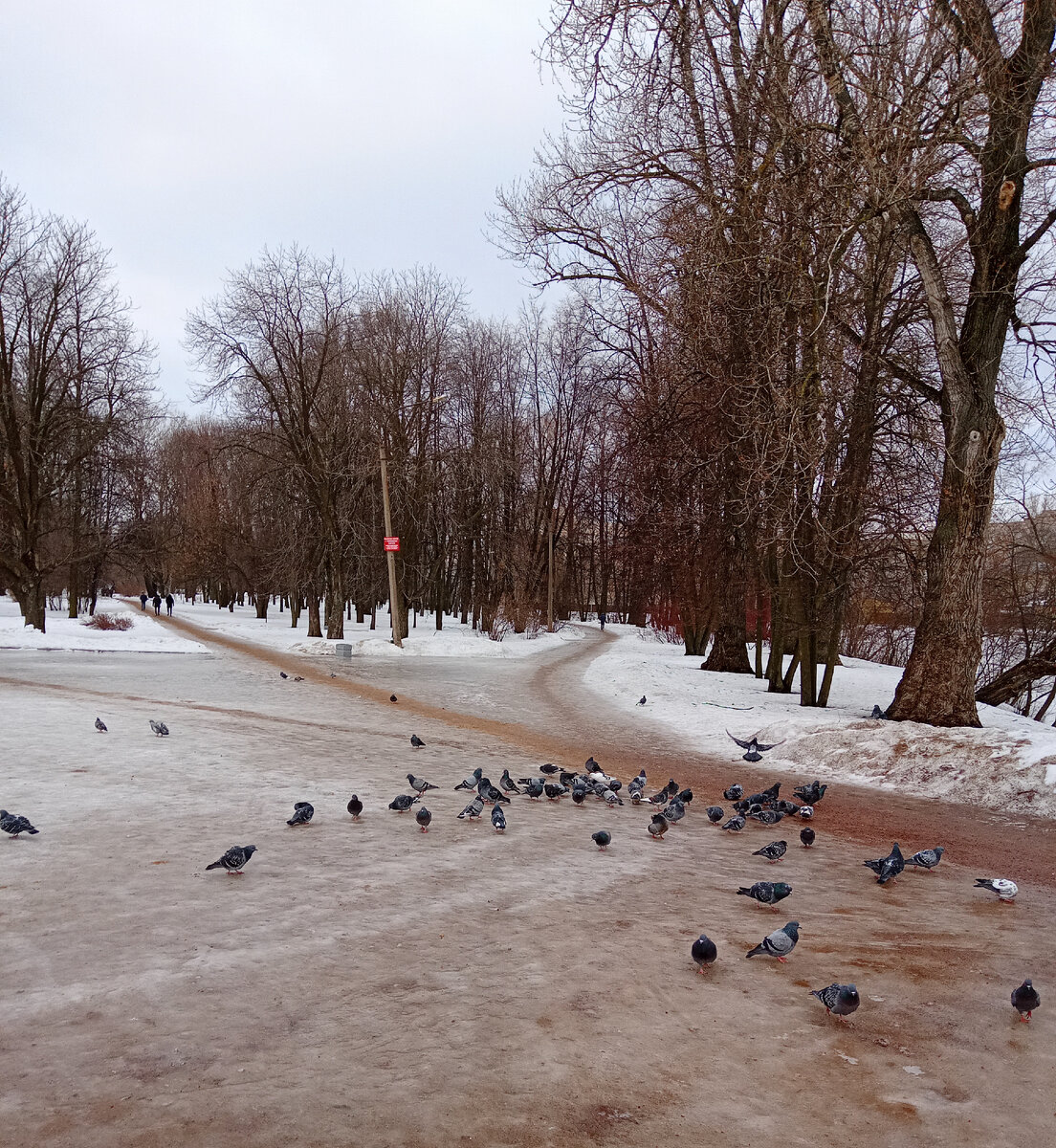 Уже почти весна! /Фотография сделана мной вчера в одном из городских парков/