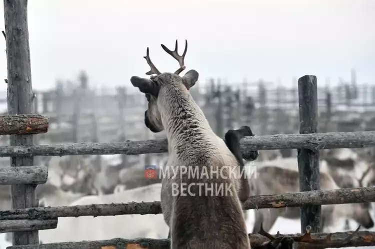 Фото: Лев Федосеев 