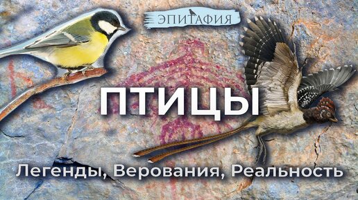 Птицы, что вы знали? Во что верят люди. Люди и птицы.