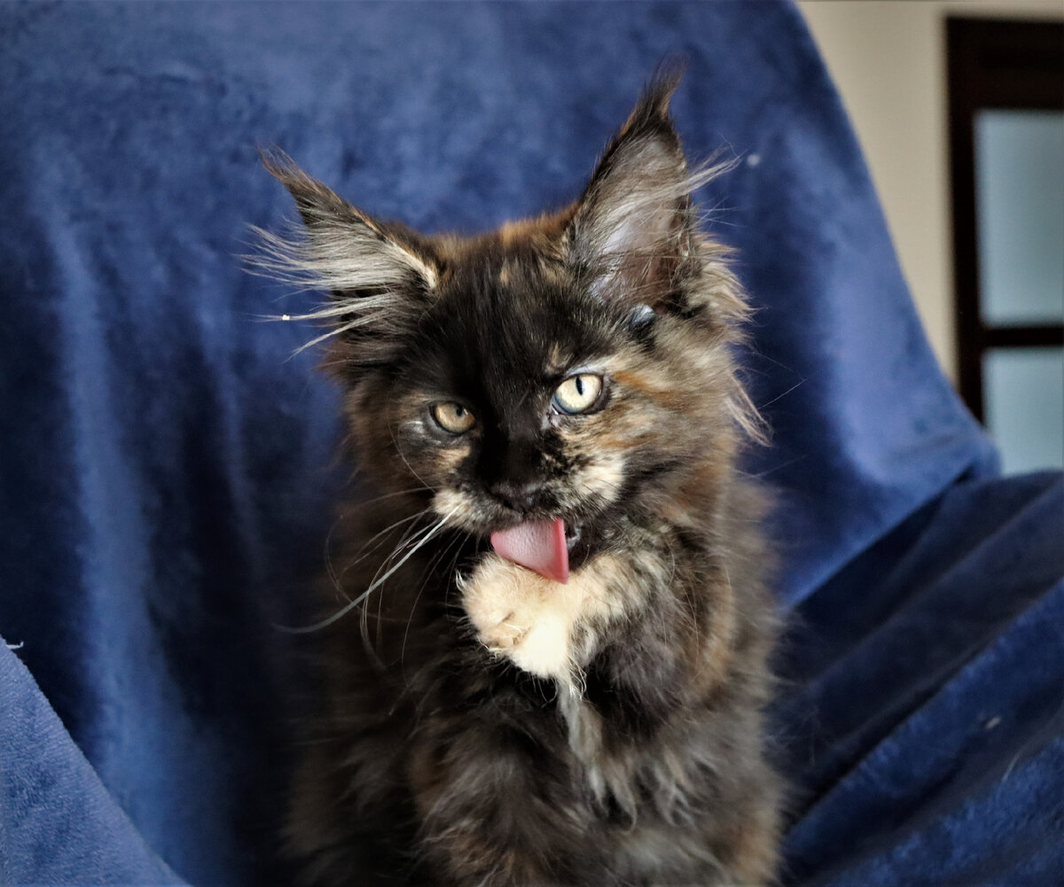 Фото из личного архива.