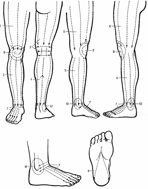 Рис.5 Зоны нижней конечности и направление линий воздействия (по Г. Лувсан, 1990).