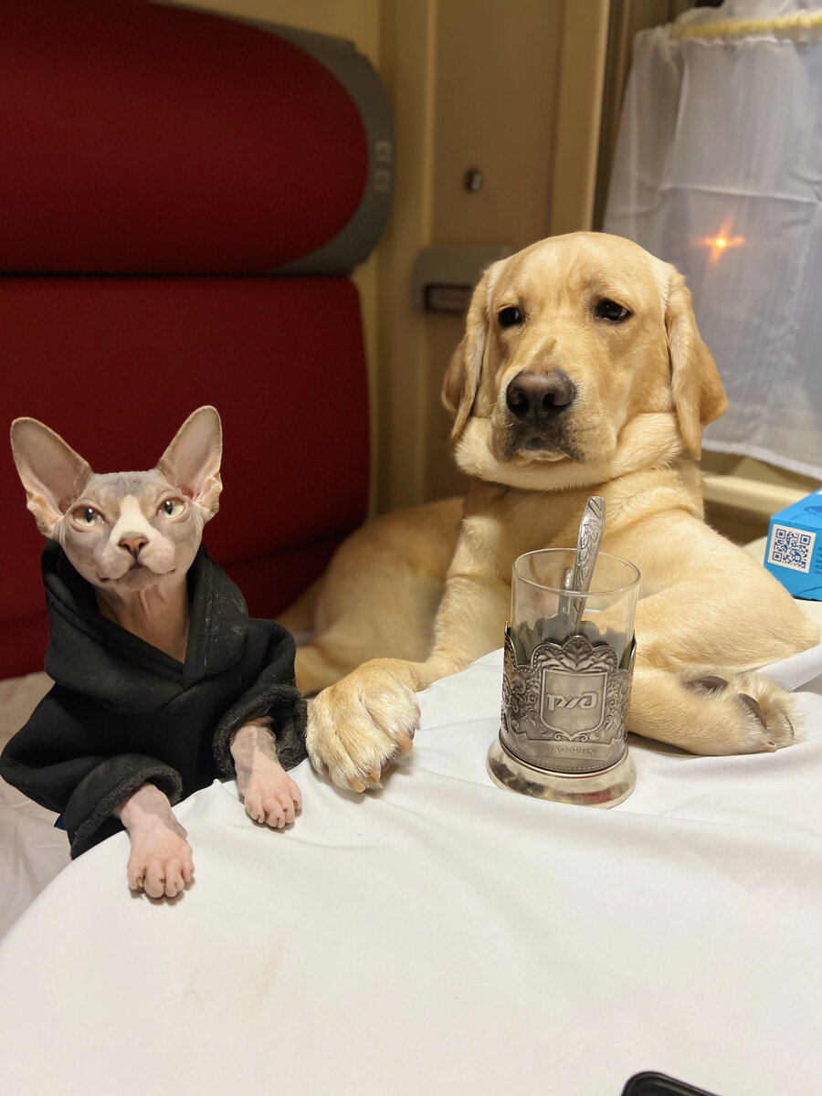 Москва-Анапа январь 2022