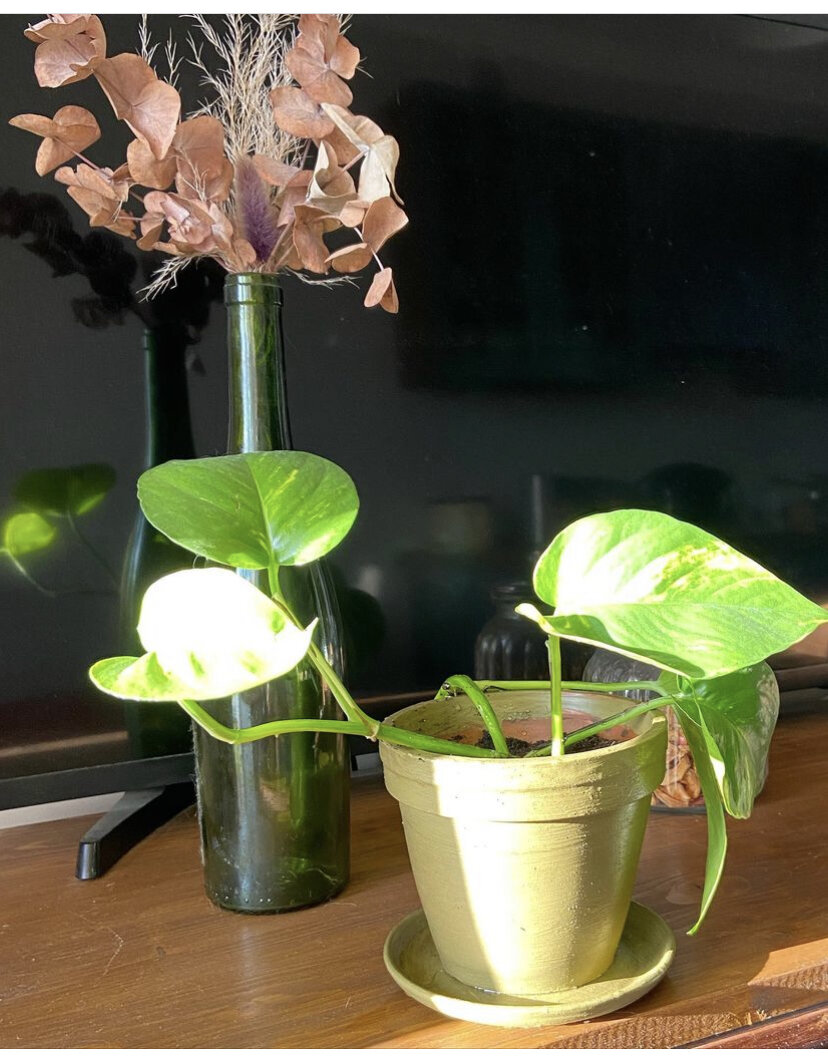 Перекрашенный горшок. Фото автора 