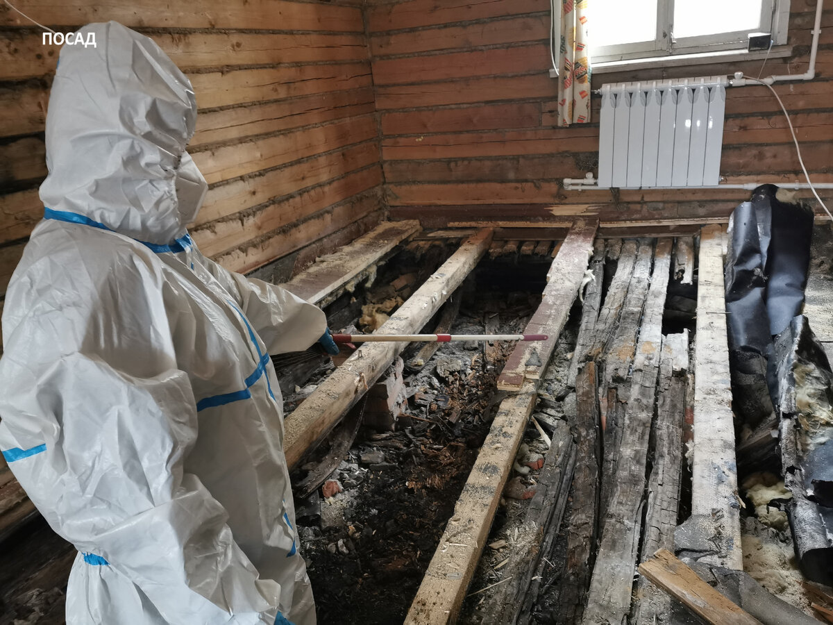 Нижняя поверхность лаг сгнила напрочь, бруски, что были под ними - тоже. Из-за этого полы прогнулись. Доски подбоя частью превратились в пыль, частью - сгнили и изогнулись.