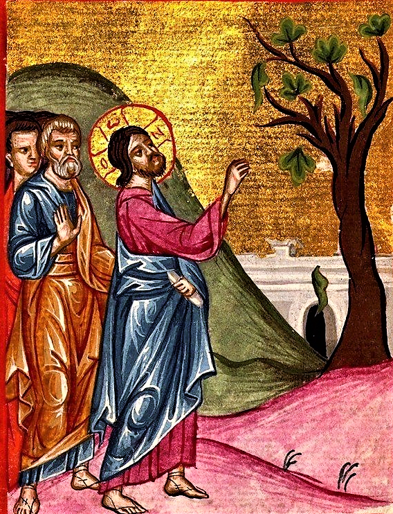 После прочтения публикации, пожалуйста, не забудьте поставить "лайк".