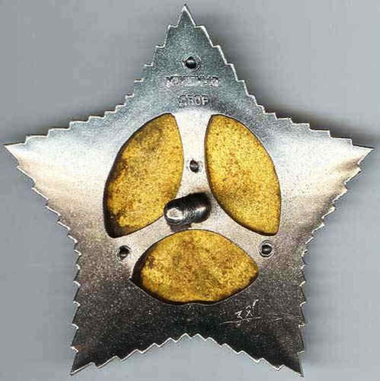 Реверс ордена Суворова I степени. 