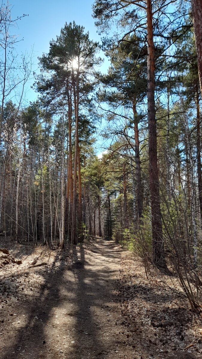 "Доброе утро, мир! Ты прекрасен!" Фото автора