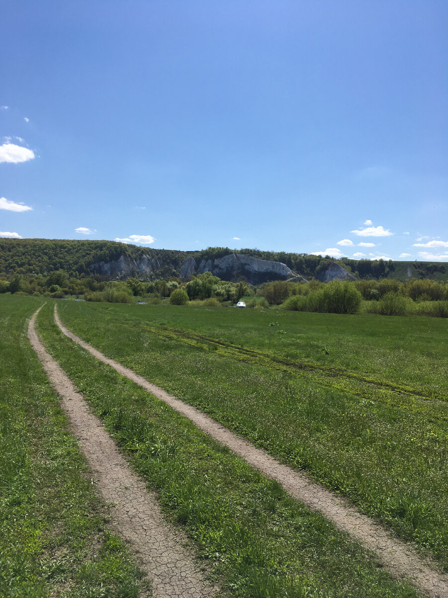 Лискинский район