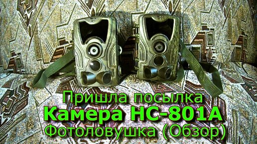 Фотоловушка нс 801а