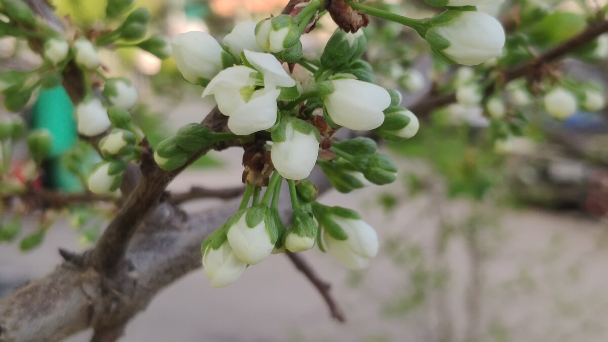 Красота вокруг💓💓💓