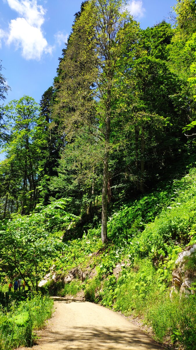 Просто листайте галерею )