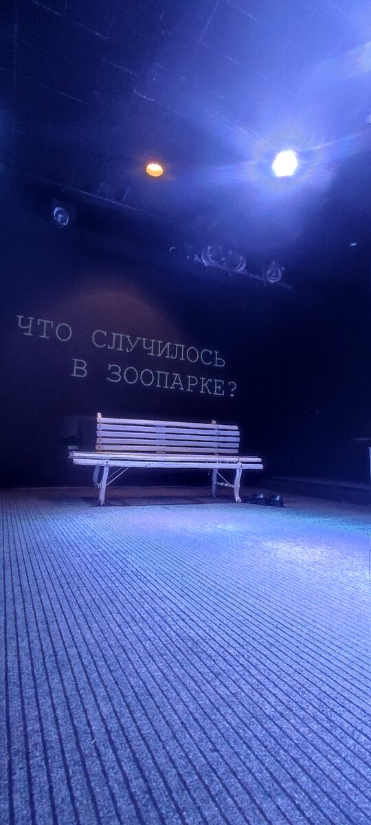 спектакль "ЧТО СЛУЧИЛОСЬ В ЗООПАРКЕ?" Театр 101