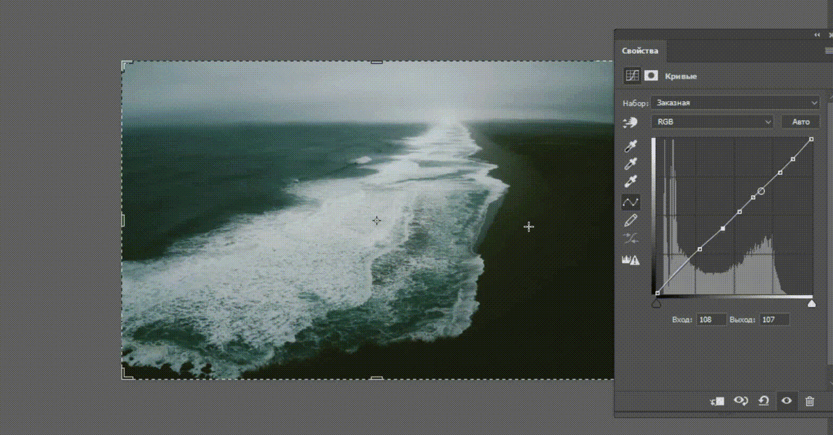 Определите, как график соотносится с картинкой