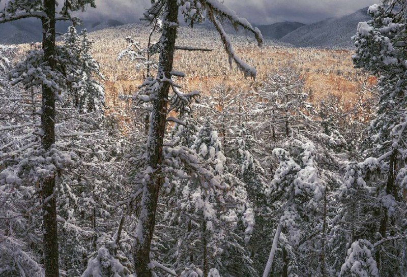 Море тайги. Жители тайги. Заблудился в лесу. Геологи в тайге. Люди тайги слушать.