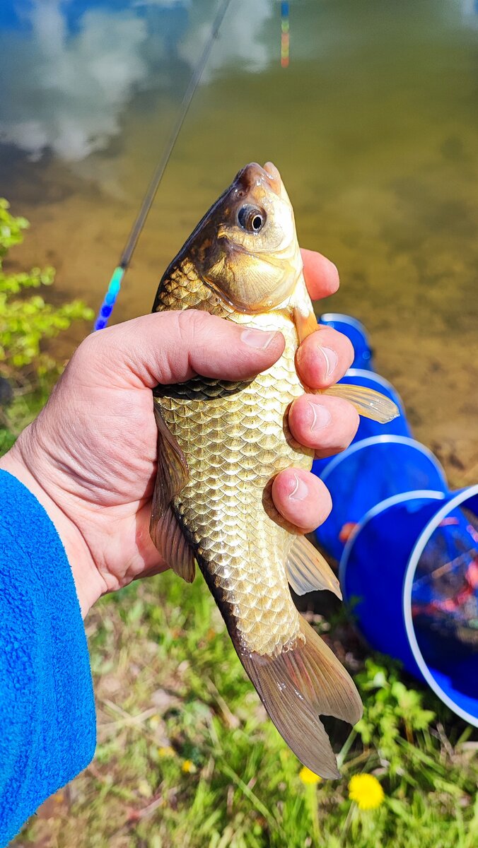 Ну, красавец же?