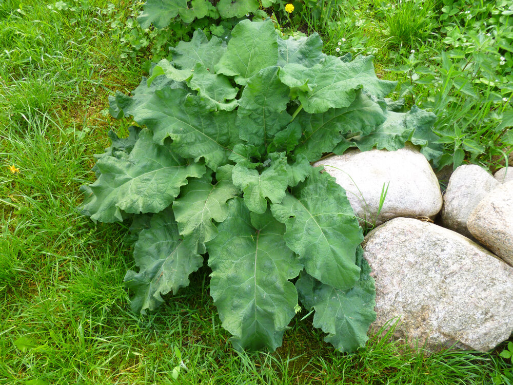 Источник: shutterstock.com