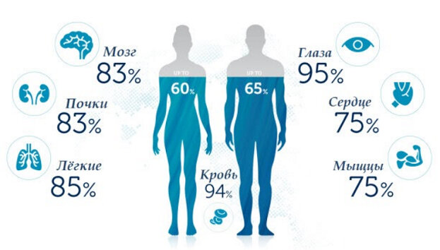 Где вода нужнее всего