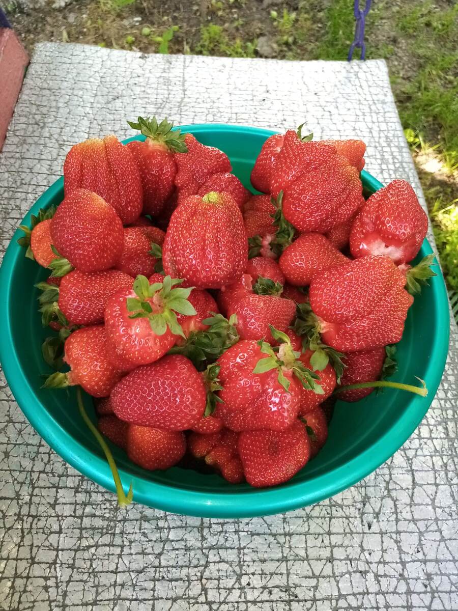 А это вам для нужного настроя! 