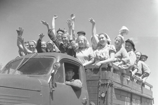  Здесь проходили конкурс «Мисс Борозда», завязывались студенческие романы, ели макароны с тушёнкой и носили модные телогрейки. О чём сейчас вспоминают те, кто в юности ездил на сельхозработы?