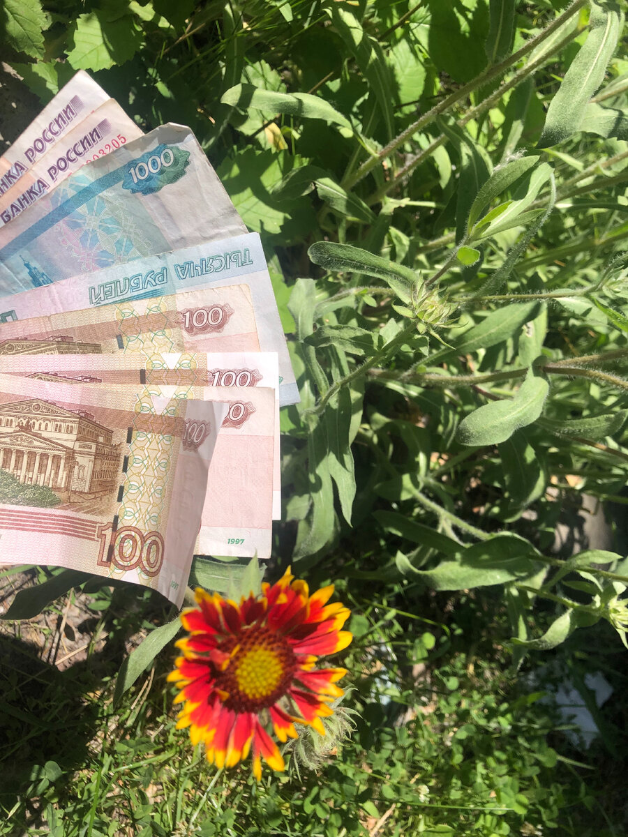 Фото мое, специально для дзен!)