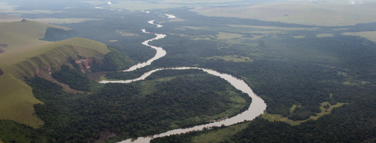 Озеро ливингстона африка. Впадина Конго. Котловина реки Конго. Река Конго пересекает Экватор. Впадина Конго в Африке.