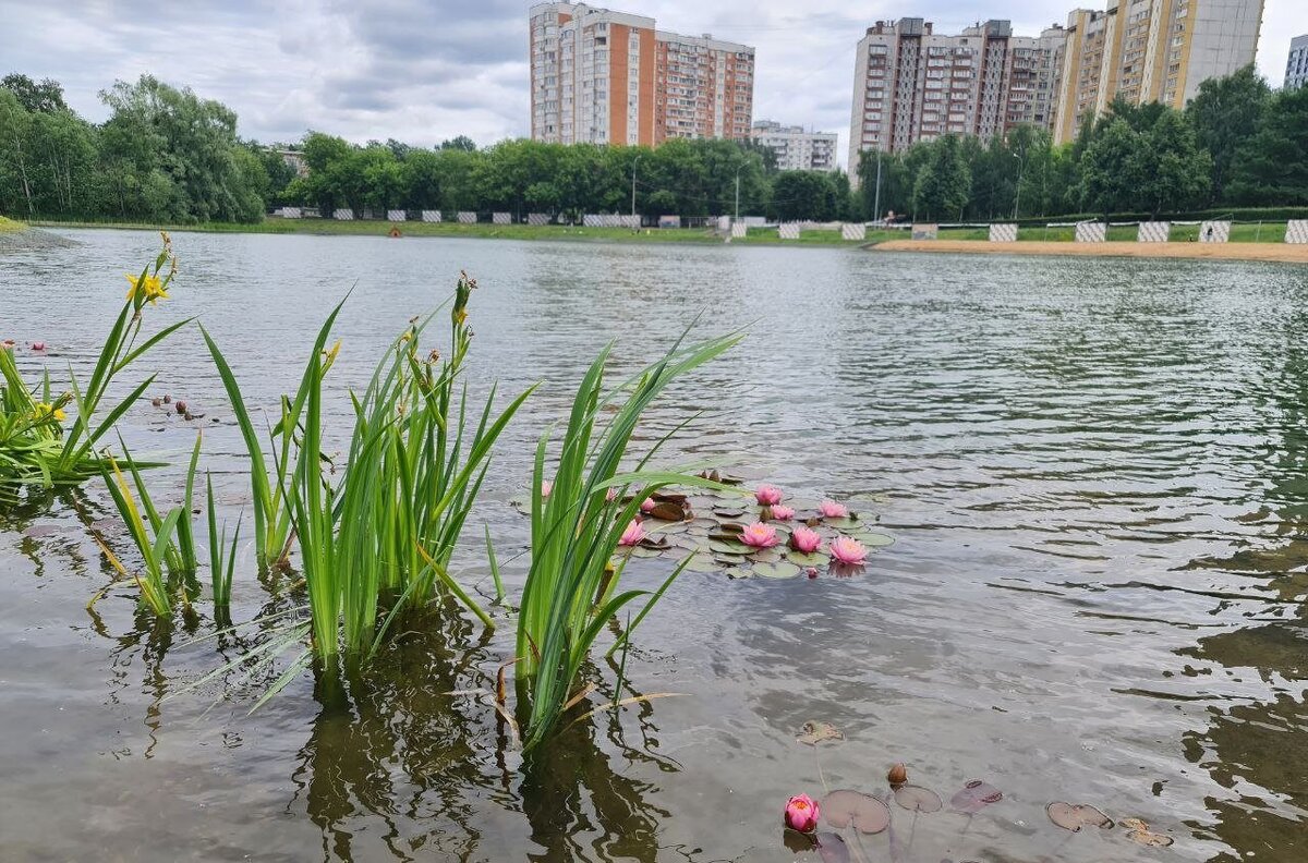 Фото: ГУП "Мосводосток"