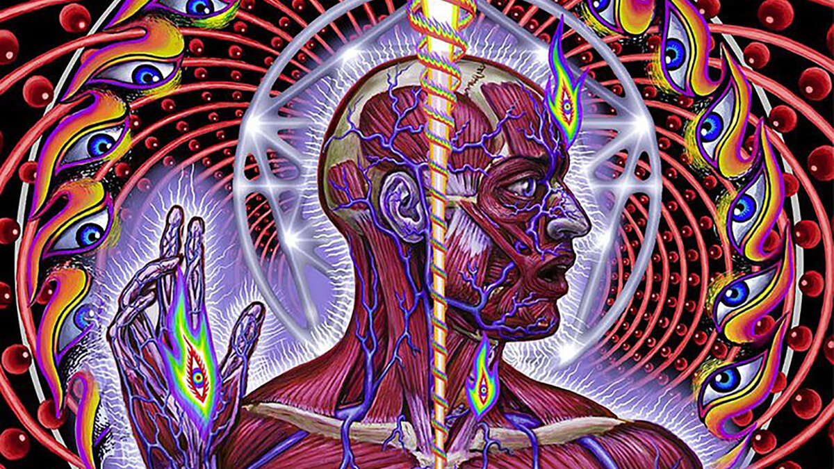 Обложка альбома Lateralus (2001). Автор Алекс Грей