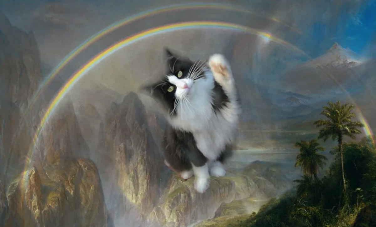 Котик с радугой. Кошка на радуге. Кошка в раю. Небесный кот. Ушедшие питомцы
