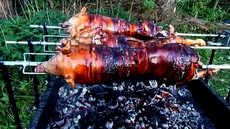 Фото предоставил автор истории.