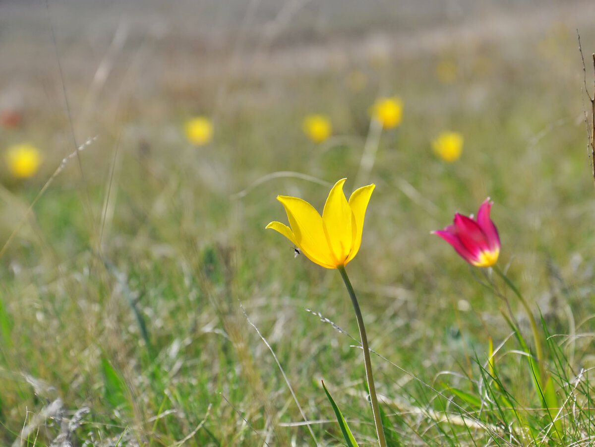 Листайте вправо, чтобы увидеть ещё фото.
