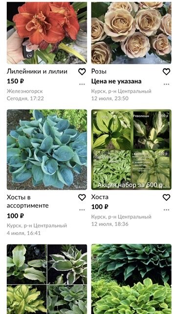 Скрин экрана телефона на Авито